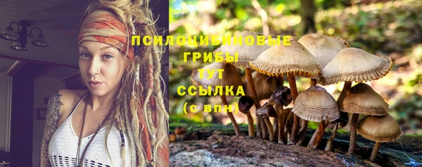 первитин Арсеньев