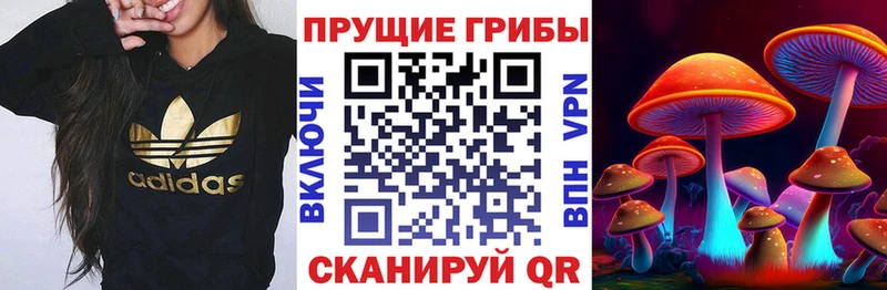 Галлюциногенные грибы мицелий  купить закладку  Углегорск 